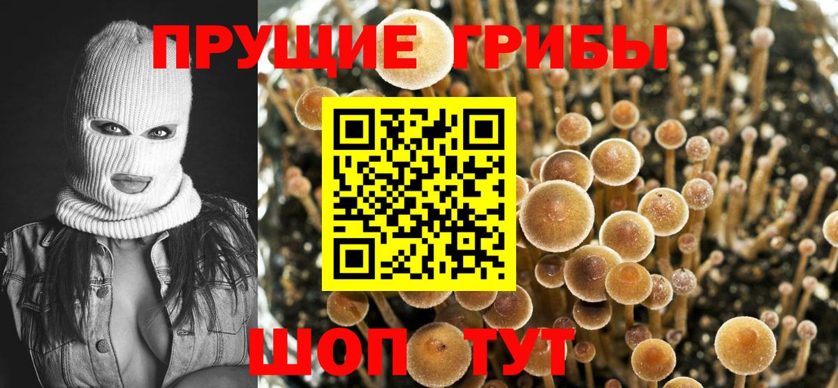Галлюциногенные грибы Magic Shrooms Мичуринск