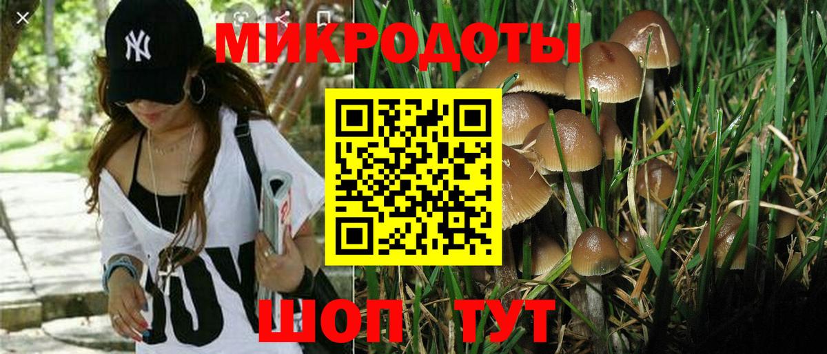 Псилоцибиновые грибы прущие грибы  Галлюциногенные грибы ЛСД  Вход с VPN  Мичуринск 